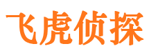 合阳外遇出轨调查取证